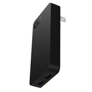 CIO NovaPort SLIM DUOII 65W �u���b�N CIO-G65W2C-N2-S-BK