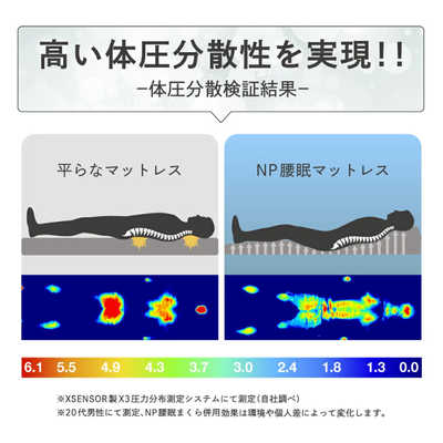 アメイズプラス NP腰眠マットレス ネルディ 寝具 腰痛 いびき 体
