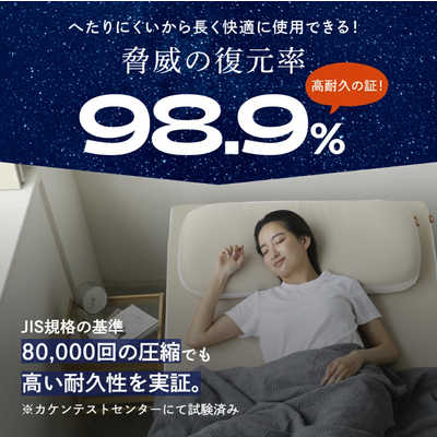 アメイズプラス NP腰眠マットレス ネルディ 寝具 腰痛 いびき 体