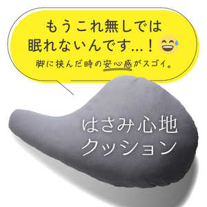 アメイズプラス はさみ心地クッション AZ-1040 アメイズプラス はさみ心地クッション AZ-1040
