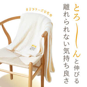 アメイズプラス チーズ毛布 1075 アメイズプラス チーズ毛布 1075