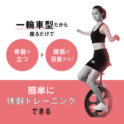 ひこはる　エアロバイク main-53062.jpg