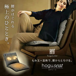 アメイズプラス hoguseat(ホグシート) hoguterior グレー AZ-1146 アメイズプラス hoguseat(ホグシート) hoguterior グレー AZ-1146