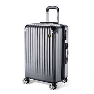 NEWTRIP 超軽量スーツケース 0201 Lサイズ グレー NTL0201 NEWTRIP 超軽量スーツケース 0201 Lサイズ グレー NTL0201