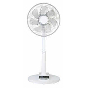 C Net Cdfl306 価格比較 価格 Com