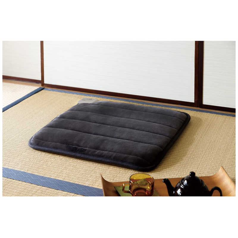 シィーネット シィーネット ホットクッション 正方形タイプ ダークグレー [本体のみ /1畳未満] CDRF602GY CDRF602GY