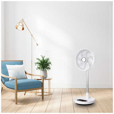シィーネット 扇風機 DCモーター搭載 (省エネタイプ) 自動首振り機能