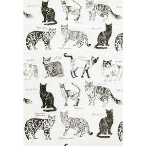 キーストーン マルチカバーMONO 150x225 MUCOMOCAキャット KIMUCOMO キーストーン マルチカバーMONO 150x225 MUCOMOCAキャット KIMUCOMO