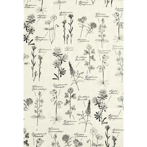 キーストーン マルチカバーMONO 150x225 MUCOMOFLフラワー KIMUCOMO キーストーン マルチカバーMONO 150x225 MUCOMOFLフラワー KIMUCOMO