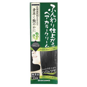 ブレーンコスモス ふんわり仕上がるヘアカラークリーム ブラック 200g ブレーンコスモス ふんわり仕上がるヘアカラークリーム ブラック 200g