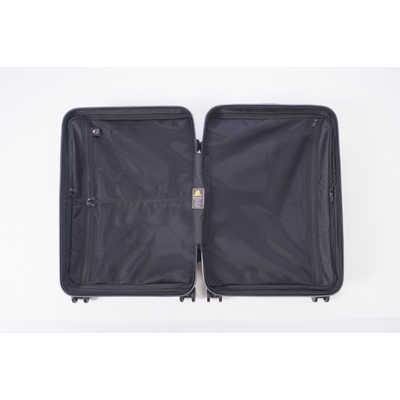 超美品 スーツケース ハードキャリー 63L RUNWAY ヨーロピアンBGK BC2002S24 [TSAロック搭載] RUNWAY スーツケース ハードキャリー RUNWAY ヨーロピアンBGK [TSA