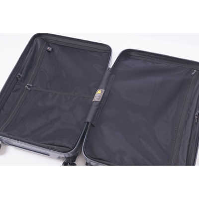 超美品 スーツケース ハードキャリー 63L RUNWAY ヨーロピアンBGK BC2002S24 [TSAロック搭載] RUNWAY スーツケース ハードキャリー RUNWAY ヨーロピアンBGK [TSA