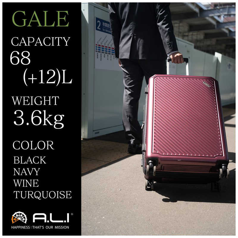 A.L.I A.L.I GALE ハードキャリー A.L.I(アジア･ラゲージ) ワイン [68L(拡張時80L)] ALI-6020-24W ALI-6020-24W
