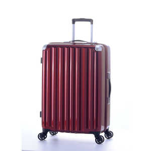 A.L.I X[cP[X Wbp[^Cv hڈF4?6 66L |J[{lCg100 TSAbN _uzC[LX^[ Cbh ALI-6008-24