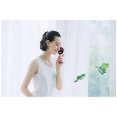 AiMY エイミー ビーブラッシュ AIM-BT130 エイミー ビーブラッシュ｜PRODUCTS｜AiMY（エイミー
