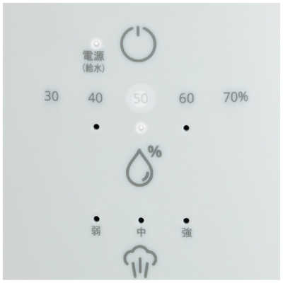 DUUX スチーム式加湿器 最大加湿 600ml/h 大容量タンク40L 最大