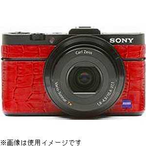 ѥۥӡġ ˡ DSC-RX100M2ĥץå(å) RX10028020