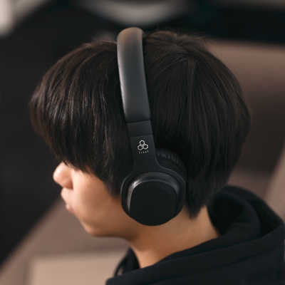 FINAL Bluetoothヘッドホン ［ノイズキャンセリング対応 /Bluetooth
