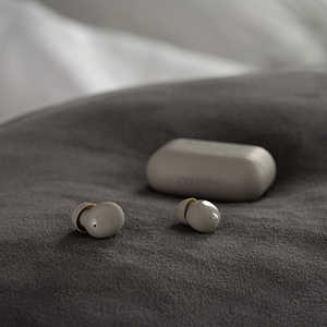 FINAL ZE500 for ASMR DARK GRAY ZE500forASMRDG FINAL ZE500 for ASMR DARK GRAY ZE500forASMRDG
