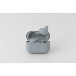 FINAL �ΥΥ�������󥻥���б��� ZE300SKYGRAY