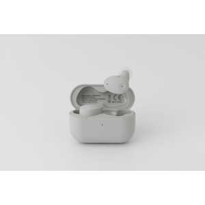 FINAL �ΥΥ�������󥻥���б��� ZE300GREIGE