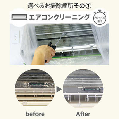カジタク チケット型家事代行サービス 「 らくらくお掃除セレクト