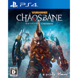 オーイズミアミュージオ PS4ゲームソフト ウォーハンマー:Chaosbane PLJM-16483