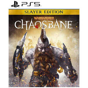 オーイズミアミュージオ PS5ゲームソフト ウォーハンマー：Chaosbane Slayer Edition 