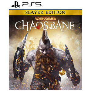 オーイズミアミュージオ PS5ゲームソフト ウォーハンマー:Chaosbane Slayer Edition オーイズミアミュージオ PS5ゲームソフト ウォーハンマー:Chaosbane Slayer Edition