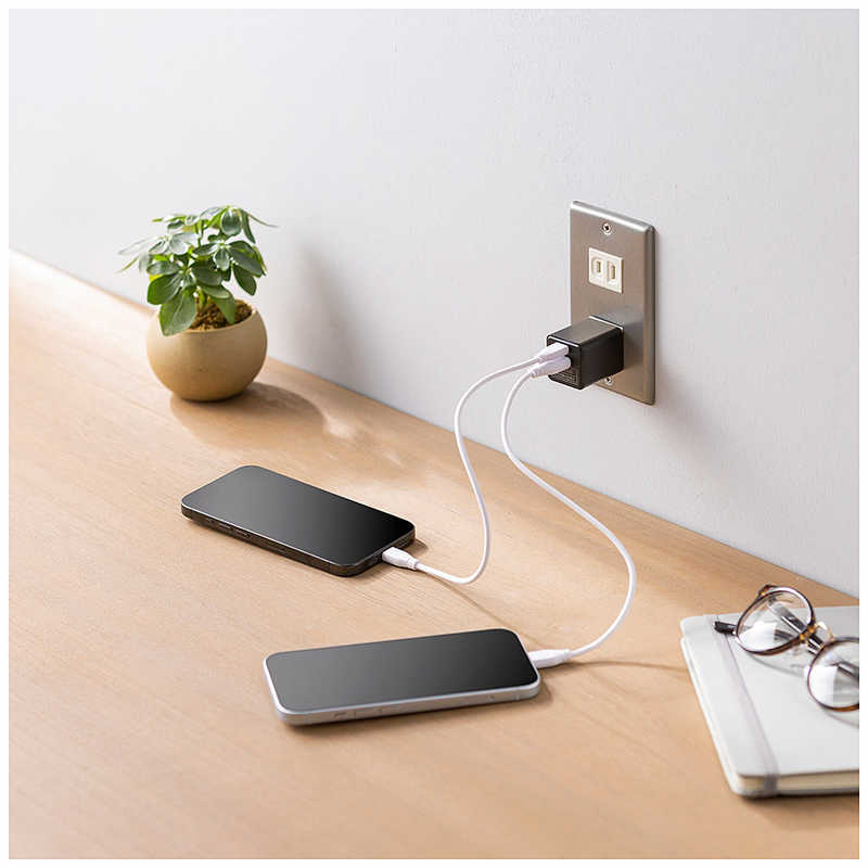 ビックアイデア ビックアイデア PDアダプター 30W ［2ポート(タイプA タイプC) / USB Power Delivery対応 / GaN(窒化ガリウム) 採用］ ホワイト BIT-ACPD302AW BIT-ACPD302AW