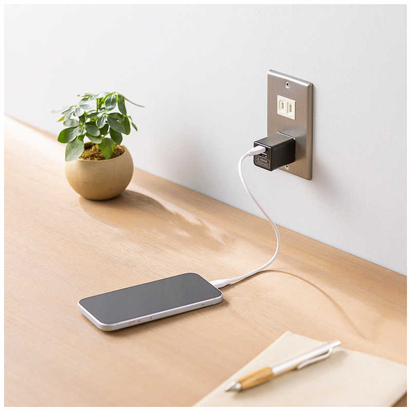 ビックアイデア ビックアイデア PDアダプター 30W ［2ポート(タイプA タイプC) / USB Power Delivery対応 / GaN(窒化ガリウム) 採用］ ホワイト BIT-ACPD302AW BIT-ACPD302AW