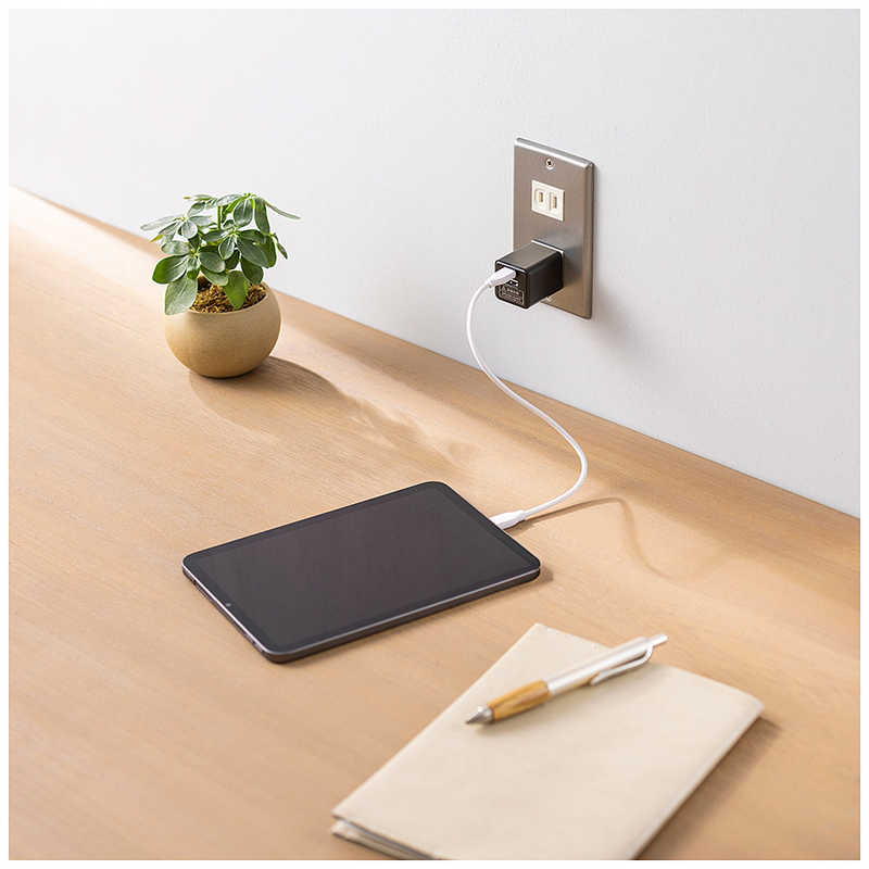ビックアイデア ビックアイデア PDアダプター 30W ［2ポート(タイプA タイプC) / USB Power Delivery対応 / GaN(窒化ガリウム) 採用］ ホワイト BIT-ACPD302AW BIT-ACPD302AW