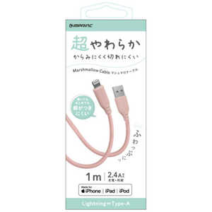 �C���v�����N �}�V���}��Lightning/Type-A�P�[�u�� 1.0m PK IUSSAL100PK