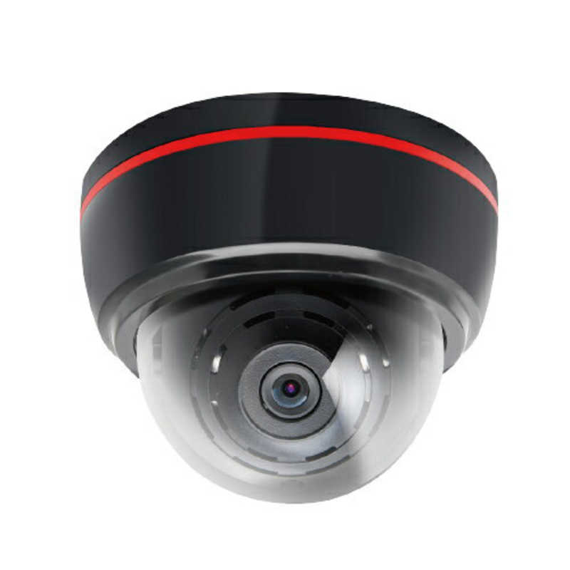 INBYTE INBYTE SDカードに記録する防犯カメラ LUKAS LK-790 LK-790