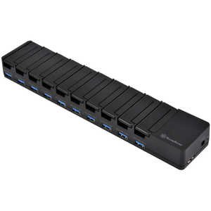 SILVERSTONE AC - USB充電器 タブレット･スマホ対応 2.4A [10ポート:USB TypeA] SST-UC04B-PRO ブラック