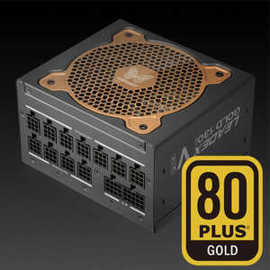 SUPERFLOWER PC電源 LEADEX V Gold PRO 1000W［1000W /ATX /Gold］ ブラック SF-1000F14TG v2.0