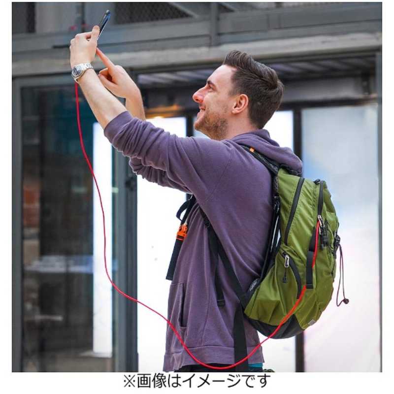 アンカー Anker Japan アンカー Anker Japan ［micro USB］PowerLine+ ケーブル （180cm）レッド [1.8m] A8143091 A8143091