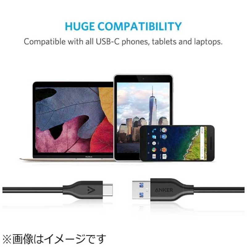 アンカー Anker Japan アンカー Anker Japan 0.9m［USB-C ⇔ USB-A］3.0ケーブル 充電・転送　ブラック A8163011 A8163011