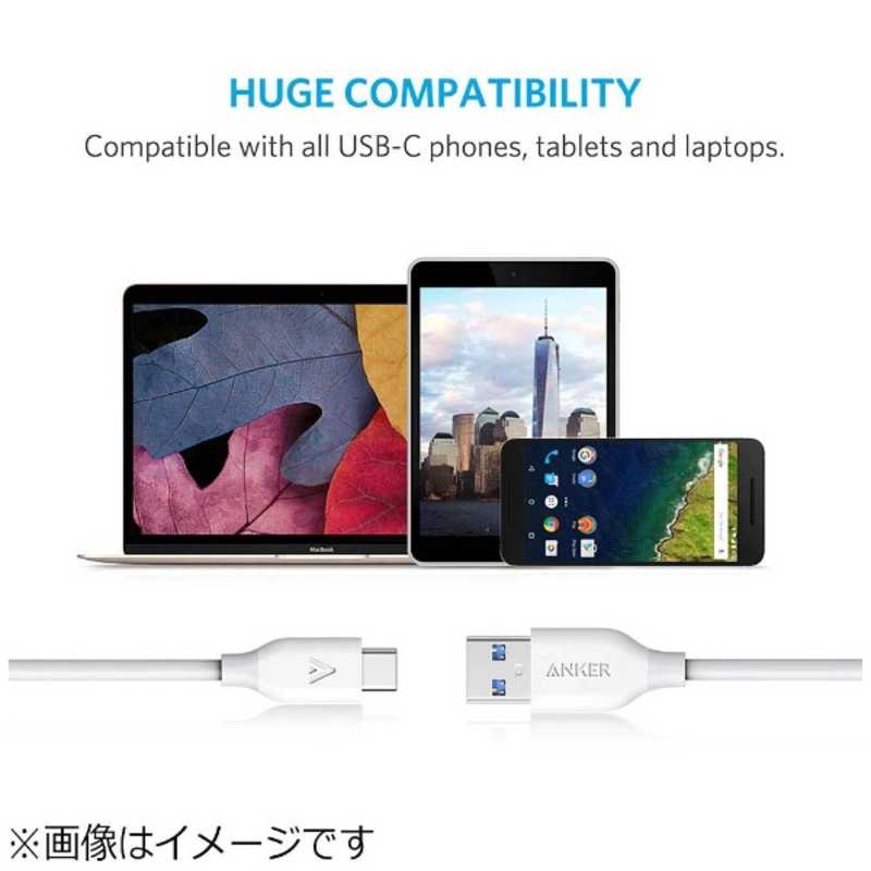 アンカー Anker Japan アンカー Anker Japan 0.9m［USB-C ⇔ USB-A］3.0ケーブル 充電・転送　ホワイト A8163021 A8163021