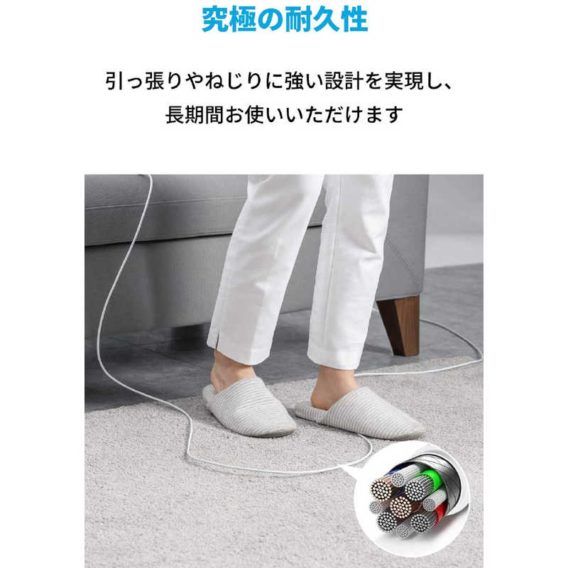 アンカー Anker Japan アンカー Anker Japan Anker PowerLine III USB-C & USB-C 2.0 ケーブル (3.0m) white [1.8m /USB Power Delivery対応] A8854021 A8854021