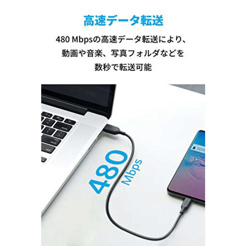 アンカー Anker Japan アンカー Anker Japan Anker PowerLine III USB-C & USB-C 2.0 ケーブル (0.3m ブラック) black A8851011 A8851011