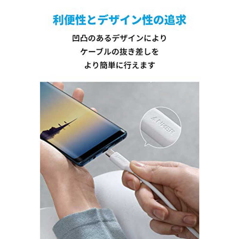 アンカー Anker Japan アンカー Anker Japan Anker PowerLine III USB-C & USB-C 2.0 ケーブル ホワイト [0.3m] A8851021 A8851021