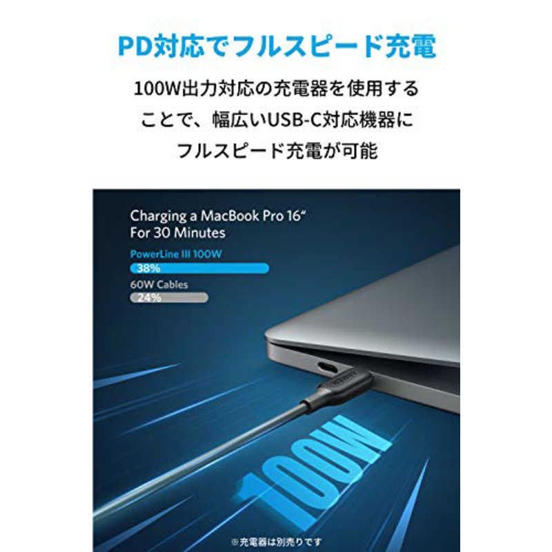 アンカー Anker Japan アンカー Anker Japan Anker PowerLine III USB-C & USB-C 2.0 100W ケーブル （1.8m ブラック） black [1.8m/USB PD対応] A8856011 A8856011