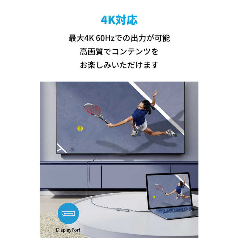 アンカー Anker Japan アンカー Anker Japan 0.13m［USB-C オス→メス DisplayPort 4K］変換アダプタ グレー A83150A1 A83150A1