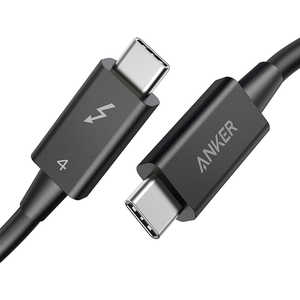 USB-C & USB-C Thunderbolt 4 A8859011 [0.7m ubN]