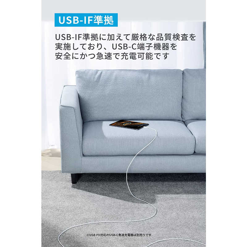 アンカー Anker Japan アンカー Anker Japan 310 USB-C ＆ USB-C ケーブル 3.0m ホワイト ［USB Power Delivery対応］ A81E3021 A81E3021