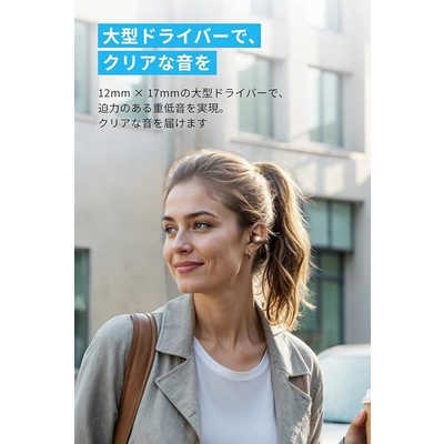ANKER Soundcore C40i A3331NB1 [ローズゴールド] 価格比較
