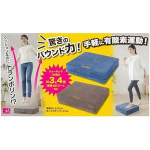 サンファミリー 体幹ぴょんぴょん ホップステッパースリム ブラウン 4696197 サンファミリー 体幹ぴょんぴょん ホップステッパースリム ブラウン 4696197