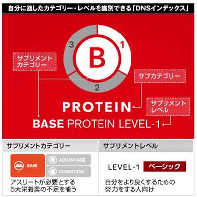 DNS ホエイプロテイン DNS プロテインホエイ100【レモン風味/3.0kg】 DNSプロテインホエイ(3kg