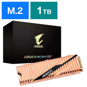 GIGABYTE GIGABYTE AORUS NVMe Gen4 SSD M.2 1TB　受発注商品 GPASM2NE6100TTTD